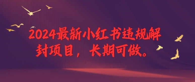 202-20240815-2024最新小红书违规解封项目，长期可做，一个可以做到退休的项目【揭秘】