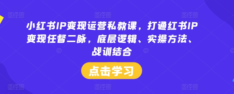 196-20240815-小红书IP变现运营私教课，打通红书IP变现任督二脉，底层逻辑、实操方法、战训结合