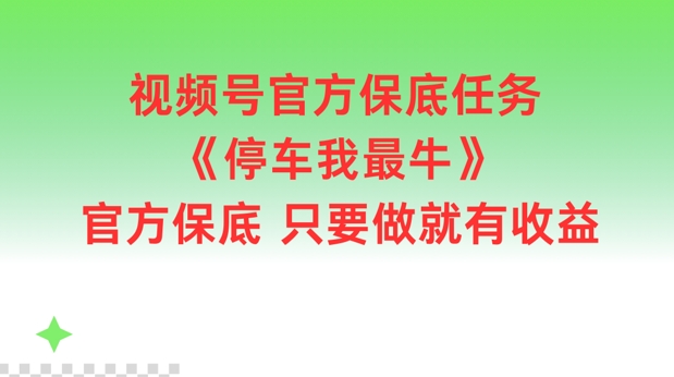 217-20240816-视频号官方保底任务，停车我最牛，官方保底只要做就有收益【揭秘】