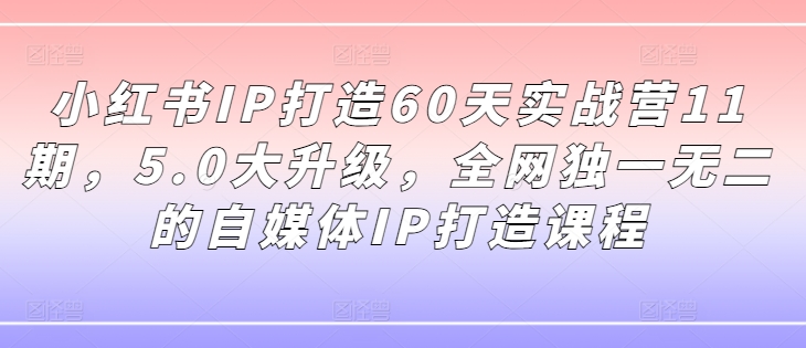 234-20240818-小红书IP打造60天实战营11期，5.0大升级，全网独一无二的自媒体IP打造课程