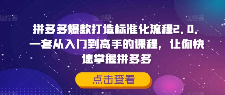 236-20240818-拼多多爆款打造标准化流程2.0，一套从入门到高手的课程，让你快速掌握拼多多