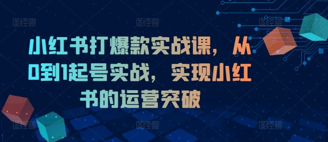 235-20240818-小红书打爆款实战课，从0到1起号实战，实现小红书的运营突破