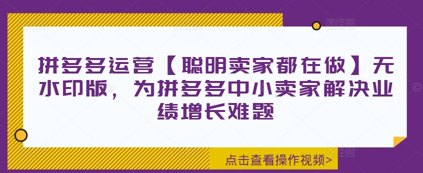 278-20240822-拼多多运营【聪明卖家都在做】无水印版，为拼多多中小卖家解决业绩增长难题