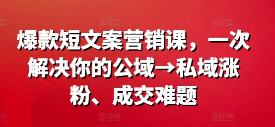 297-20240824-爆款短文案营销课，一次解决你的公域→私域涨粉、成交难题