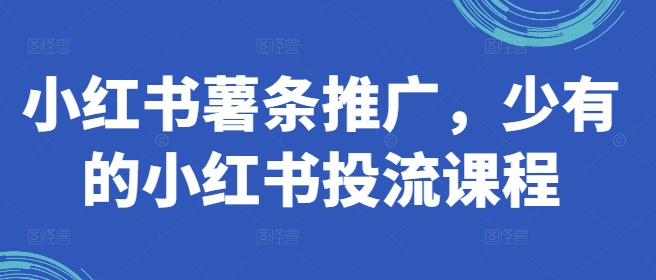 298-20240824-小红书薯条推广，少有的小红书投流课程