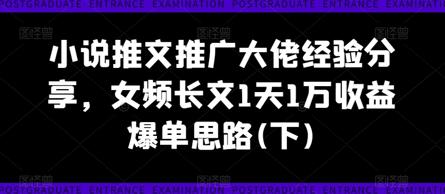 346-20240829-小说推文推广大佬经验分享，女频长文1天1万收益爆单思路(下)