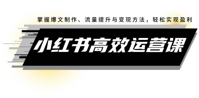 小红书实操运营课⭐小红书高效运营课：掌握爆文制作、流量提升与变现方法，轻松实现盈利