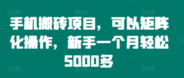 043-20240905-手机搬砖项目，可以矩阵化操作，新手一个月轻松5000多