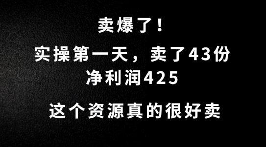 112-20240913-这个资源，需求很大，实操第一天卖了43份，净利润425【揭秘】