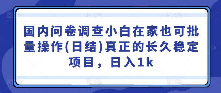 132-20240914-国内问卷调查小白在家也可批量操作(日结)真正的长久稳定项目，日入1k【揭秘】