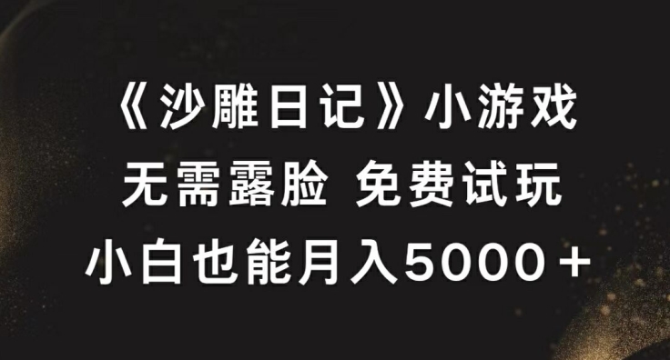 170-20240918-《沙雕日记》小游戏，无需露脸免费试玩，小白也能月入5000+【揭秘】