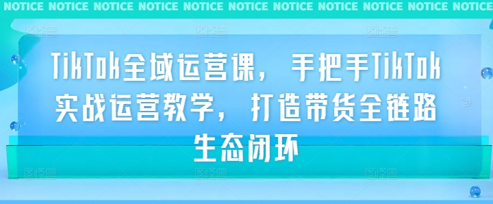 185-20240920-TikTok全域运营课，手把手TikTok实战运营教学，打造带货全链路生态闭环