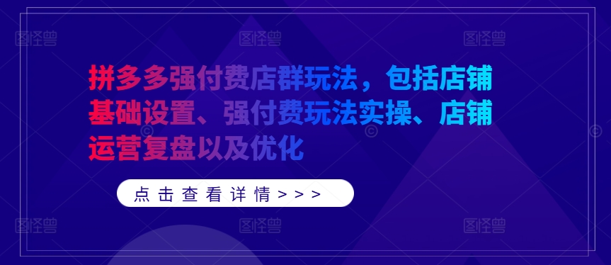 194-20240921-拼多多强付费店群玩法，包括店铺基础设置、强付费玩法实操、店铺运营复盘以及优化