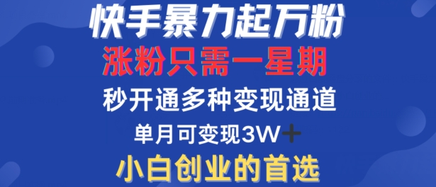 199-20240921-快手暴力起万粉，涨粉只需一星期，多种变现模式，直接秒开万合，单月变现过W【揭秘】