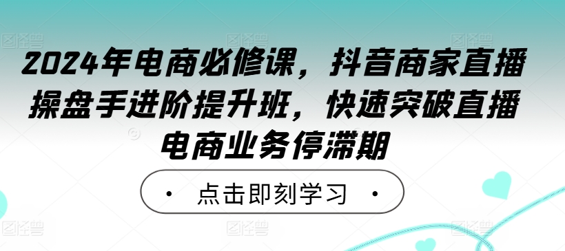 206-20240922-2024年电商必修课，抖音商家直播操盘手进阶提升班，快速突破直播电商业务停滞期