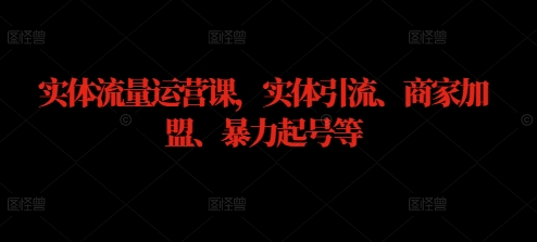 246-20240926-实体流量运营课，实体引流、商家加盟、暴力起号等