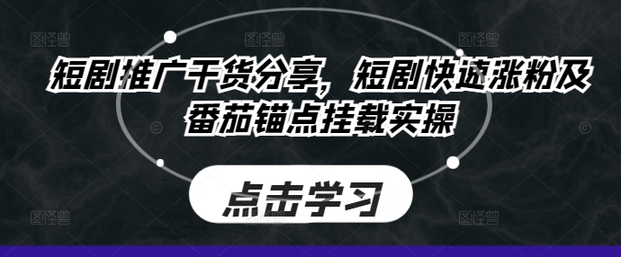 013-20241002-短剧推广干货分享，短剧快速涨粉及番茄锚点挂载实操