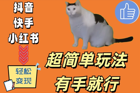 060-20241008-超简单玩法，有手就行，靠猫咪视频日入500+【揭秘】