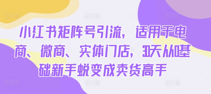 111-20241013-小红书矩阵号引流，适用于电商、微商、实体门店，30天从0基础新手蜕变成卖货高手