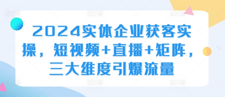 124-20241014-2024实体企业获客实操，短视频+直播+矩阵，三大维度引爆流量