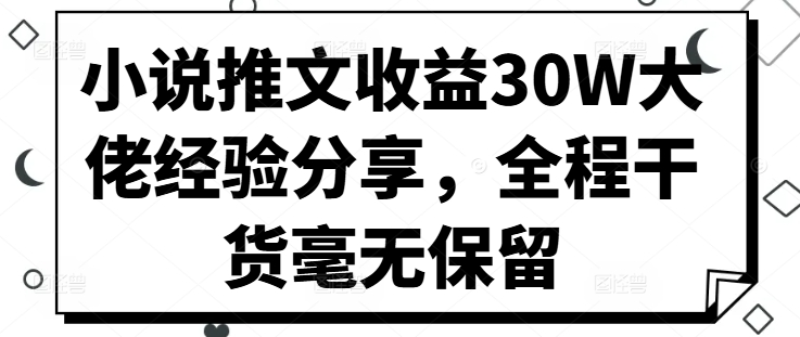 132-20241015-小说推文收益30W大佬经验分享，全程干货毫无保留