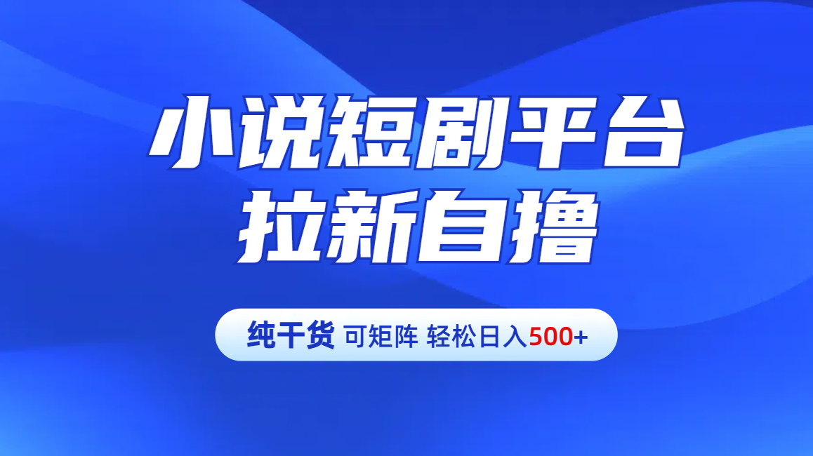 小说短剧平台拉新自撸玩法详解-单人轻松日入500+⭐【纯干货】小说短剧平台拉新玩法详解-