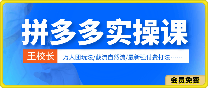 0511王校长拼多多⭐王校长·拼多多实操课程