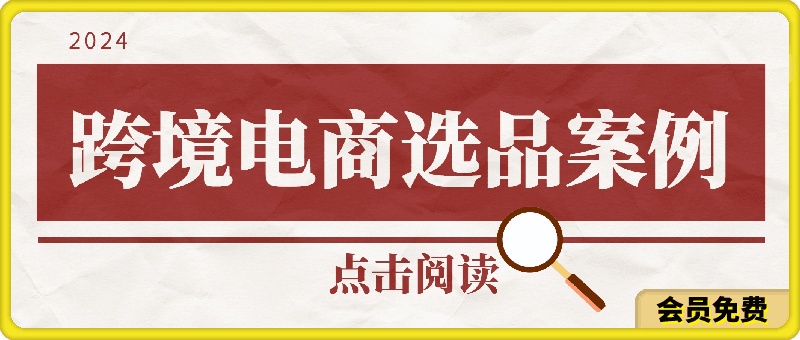 0511阿甘·2024年跨境电商选品案例