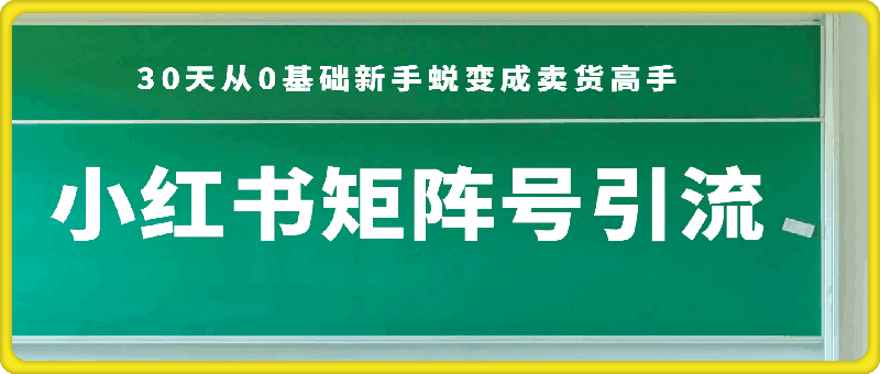 1014-小红书矩阵号引流，适用于电商、微商、实体门店，30天从0基础新手蜕变成卖货高手