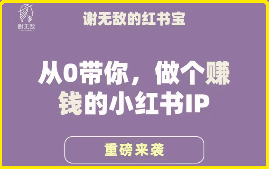 0313谢无敌运营大宝典：从0带你，做个赚钱的小红书IP⭐谢无敌·从0带你做个赚钱的小红书IP