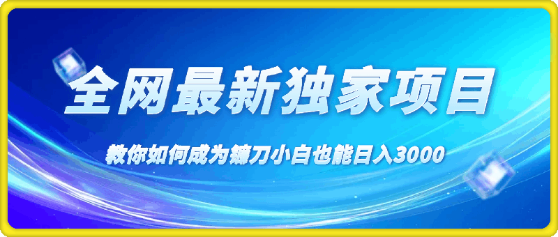 1116全网最新独家项目，教你如何成为镰刀小白也能日入3000