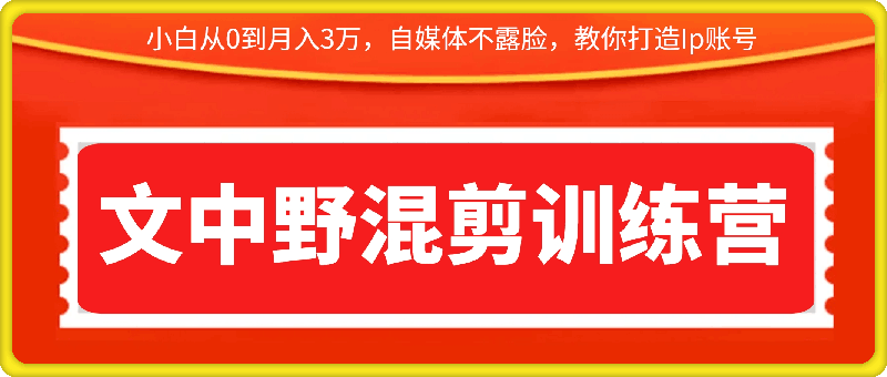 1017文中野混剪训练营⭐文中野混剪训练营教你打造Ip账号：小白从0到月入3万，自媒体不露脸，是如何做视频的