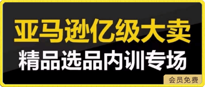 0417亚马逊亿级大卖-精品选品内训专场