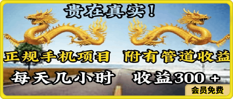 0719正规手机项目，附有丰富的管道收益，每天几小时，收益300