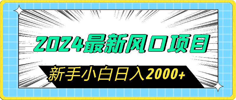 0319-2024风口项目 日入2000+⭐2024最新风口项目 新手小白日入2000