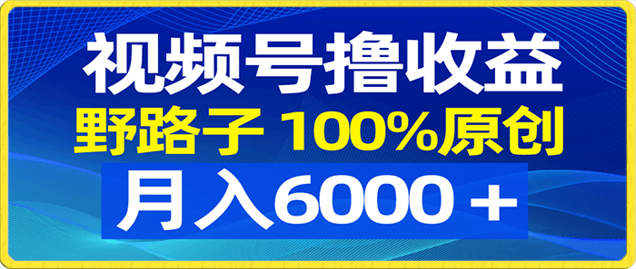 0119视频号野路子撸收益，100%原创，条条爆款，月入6000＋⭐2024年最新腾讯视频APP中视频计划，AI一键制作，刷爆流量分成收益，日入1500