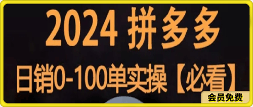 0623-2024拼多多日销0-100单实操