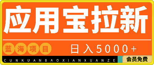 0625-2024应用宝拉新，真正的蓝海项目，每天动动手指，日入5000+