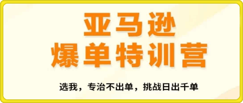 1125-2024年亚马逊爆单特训营