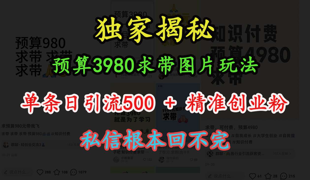 预算3980求带 图片玩法，单条日引流500+精准创业粉，私信根本回不完⭐“小hong.书”预算3980求带 图片玩法，单条500 精准创业粉，私信根本回不完