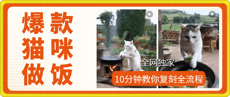 1218-10分钟教你复刻爆款猫咪做饭（全流程）