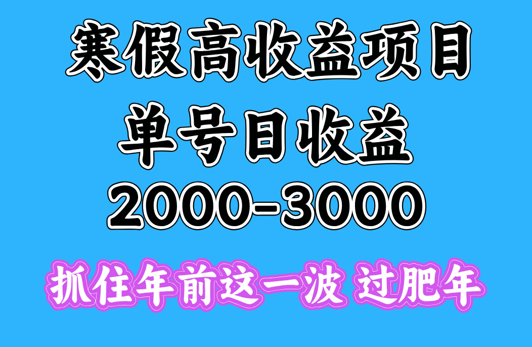 寒假高收益项目⭐寒假期间一天收益2000-3000 ，抓住年前这一波