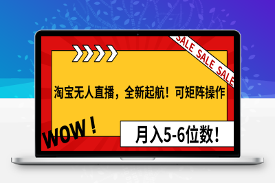 0384-淘宝无人直播，全新起航！可矩阵操作，月入5-6位数！