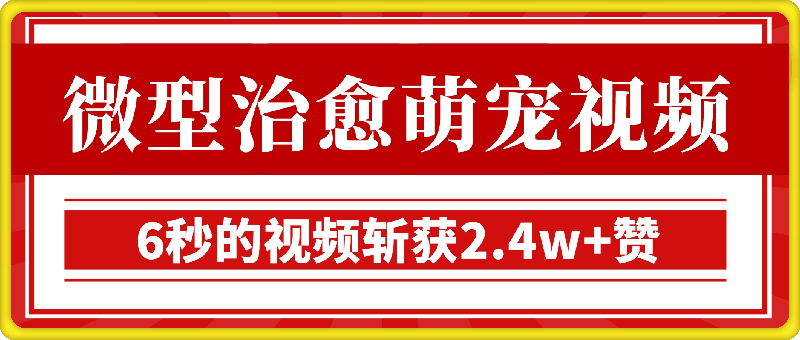 0110【揭秘】微型治愈的萌宠视频，3000+粉丝，6秒的视频斩获2.4w+赞【附详细教程】⭐小众赛道，让观众为情绪买单，蓝海市场，全平台可做，治愈系电子抱枕