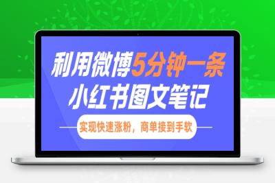9982-136-20250111-小红书利用微博5分钟一条图文笔记，实现快速涨粉，商单接到手软