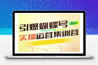 6150-138-20250111-引爆蝴蝶号实操运营，助力你深度掌握蝴蝶号运营，实现高效实操，开启流量变现之路