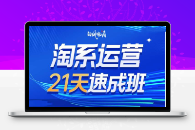 1773-146-20250112-淘系运营21天速成班35期，年前最后一波和2025方向