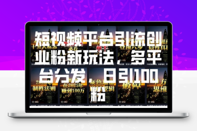 4172-169-20250114-短视频平台引流创业粉新玩法，多平台分发，日引100粉