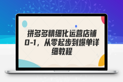 4083-176-20250115-拼多多精细化运营店铺0-1，从零起步到爆单详细教程