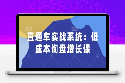 8954-221-20250119-直通车实战系统：低成本询盘增长课，让个人通过技能实现升职加薪，让企业低成本获客，订单源源不断